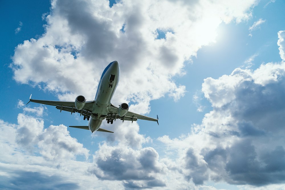 Air Charter and Freight
